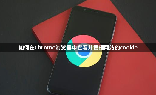 如何在Chrome浏览器中查看并管理网站的cookie1