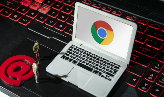 Chrome浏览器下载后如何调整插件权限设置