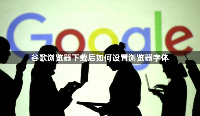 谷歌浏览器下载后如何设置浏览器字体1