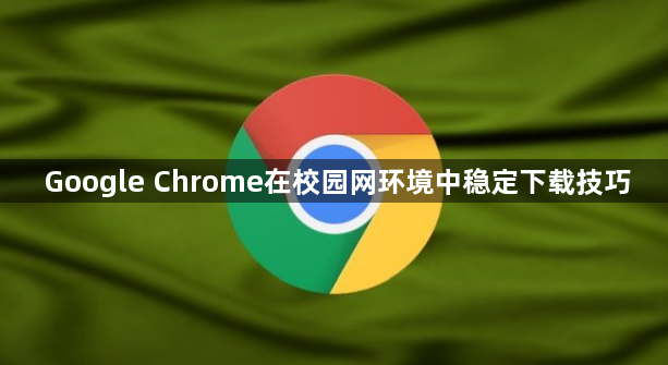Google Chrome在校园网环境中稳定下载技巧1