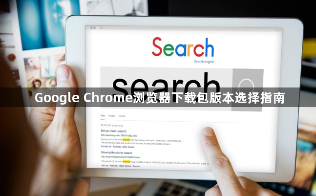 Google Chrome浏览器下载包版本选择指南1