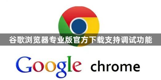 谷歌浏览器专业版官方下载支持调试功能1