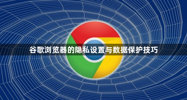谷歌浏览器的隐私设置与数据保护技巧1