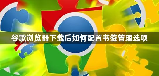 谷歌浏览器下载后如何配置书签管理选项1