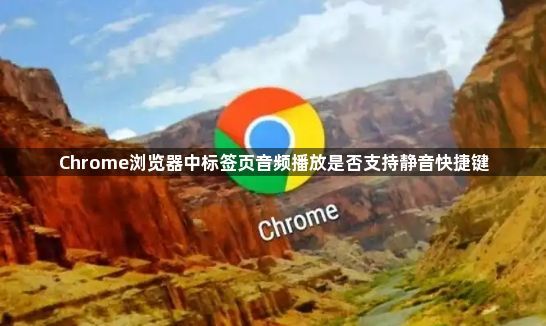 Chrome浏览器中标签页音频播放是否支持静音快捷键1