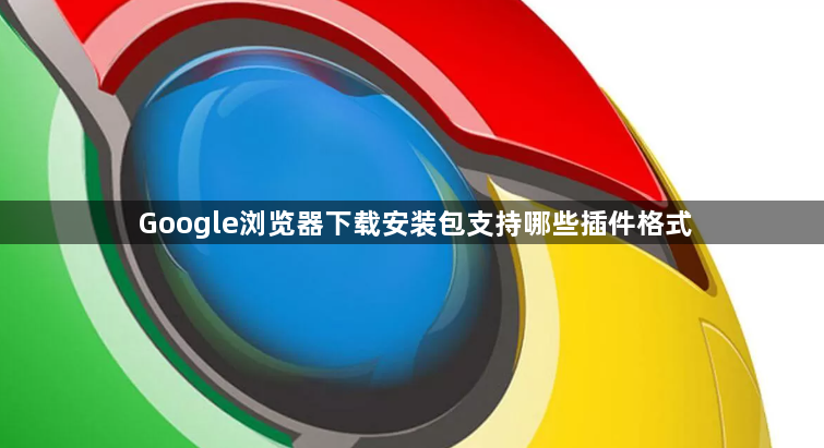 Google浏览器下载安装包支持哪些插件格式1