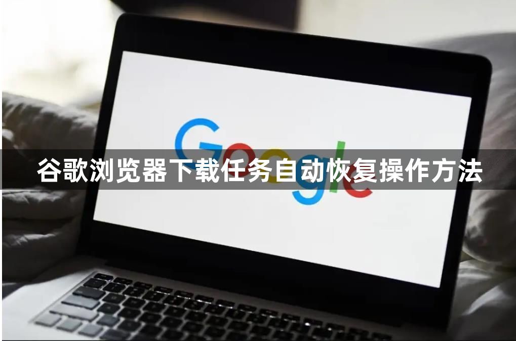 谷歌浏览器下载任务自动恢复操作方法1