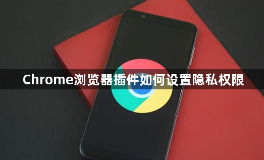 Chrome浏览器插件如何设置隐私权限1