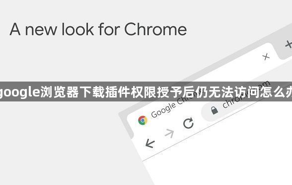 google浏览器下载插件权限授予后仍无法访问怎么办1