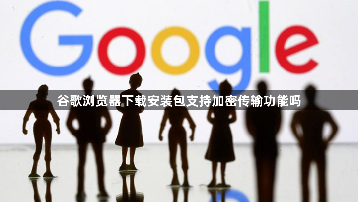 谷歌浏览器下载安装包支持加密传输功能吗1