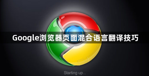 Google浏览器页面混合语言翻译技巧1