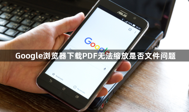 Google浏览器下载PDF无法缩放是否文件问题1